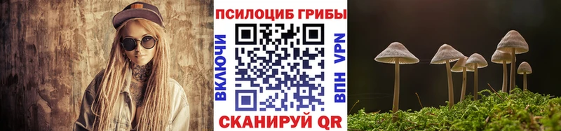 Псилоцибиновые грибы прущие грибы дарнет шоп ссылка на мегу ТОР Александровск-Сахалинский